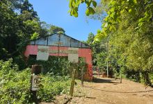 Rio la planta Arecibo景点图片