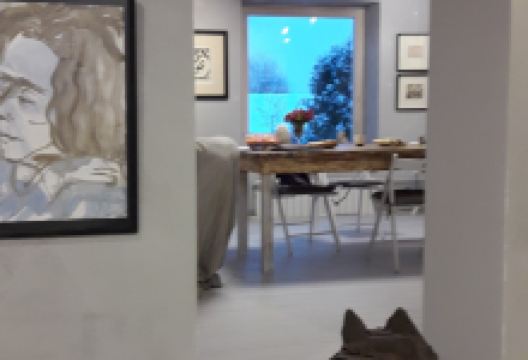 Art Gallery Herbarium景点图片