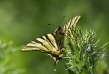 Lac de Maine景点图片