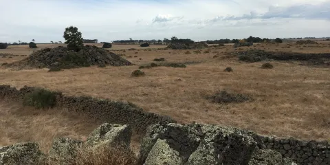 Tumuli （Lava Blisters）