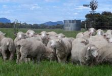 Grampians Historic Tobacco Kiln景点图片