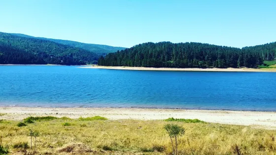 Lago Arvo