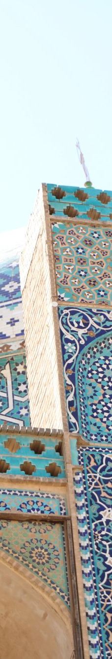 Seyed Rokn Addin Mausoleum-亚兹德