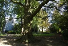 Ambtmanstuin-Stadspark te Tiel景点图片