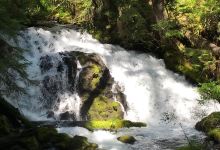 Pearsony Falls景点图片