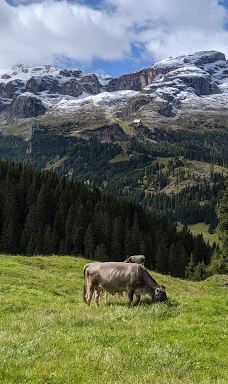 Cabinovia Col Alt-博尔扎诺-上阿迪杰自治省