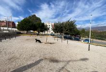 Para Perros Park景点图片