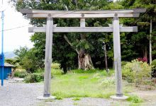 小森山神社景点图片