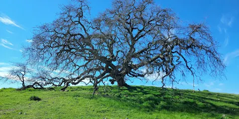 Crane Creek Regional Park