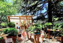 Paseo Del Bonsai Villa Ventana购物图片