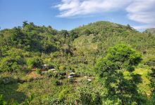 El Zapote, Gualala, Santa Bárbara景点图片