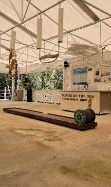 Theater of the Sea-伊斯拉莫拉达