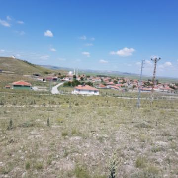 卡拉卡欧莱图片