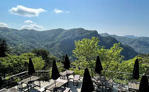 禾煦熊空茶園