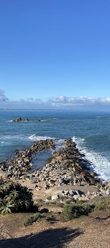 艾略特港海滩-维克多港