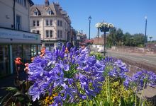 Colwyn Bay Street Market购物图片