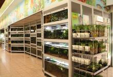 Dehner Gartencenter购物图片