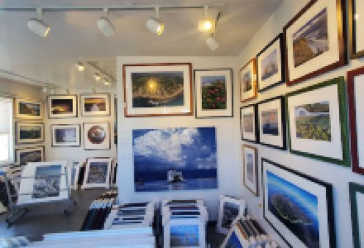 Greenaway Gallery景点图片