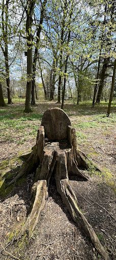 Stadt Park-开姆尼茨