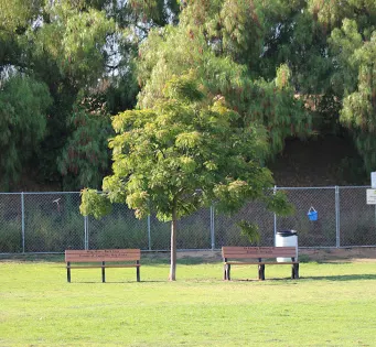 Springville Dog Park