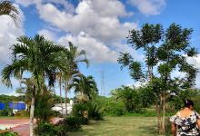 Finca La ponderosa景点图片