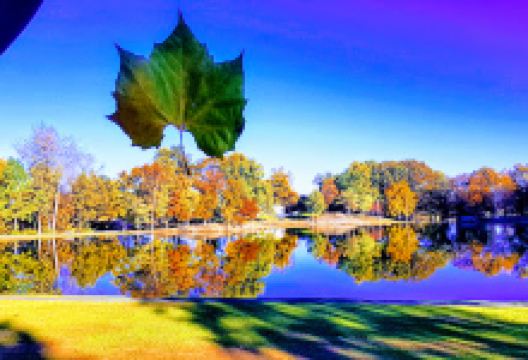 Cluett Schantz Memorial Park景点图片