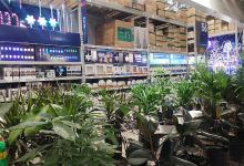 Lowe's Garden Center购物图片
