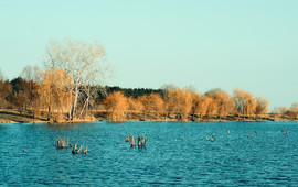 Lake Tresetište