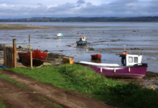 Montrose Basin景点图片
