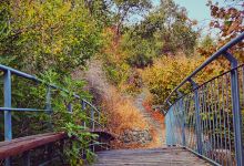 Hazelnut Forest Hiking Trail景点图片