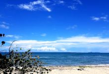 Playa Cuyamel景点图片