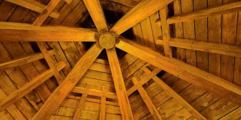 肅寧縣人民公園