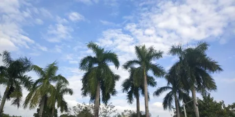 扶綏縣文化廣場