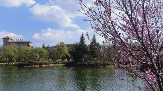 水景公園