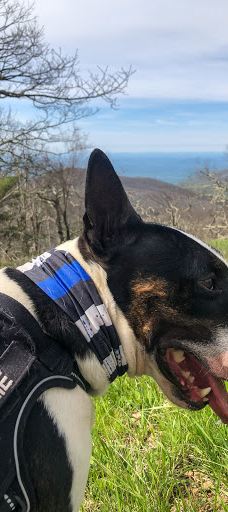 苹果山-埃尔多拉多县