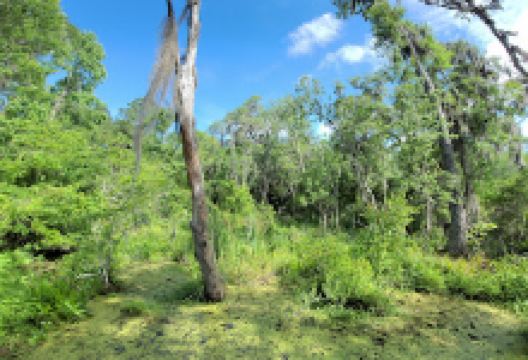 Cay Creek Wetlands Interpretive Center景点图片