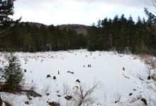 Phen Basin Trailhead景点图片