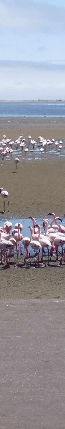 长滩休闲公园-Langstrand