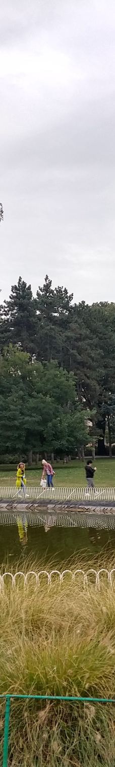 Danube Park-诺维萨德