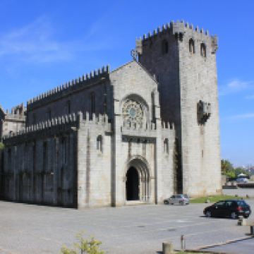 雷卡杜巴里奥图片