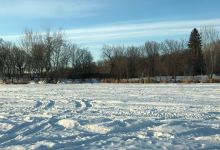 Clifton E. French Regional Park景点图片