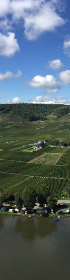 Metternich Castle-拜尔施泰因