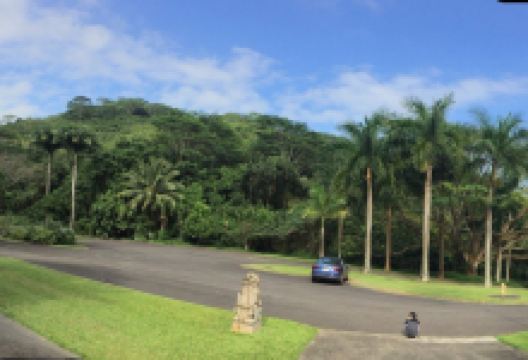 邝友良参议员的种植园和花园景点图片