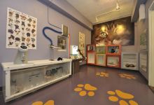 Children's Museum Tucson景点图片