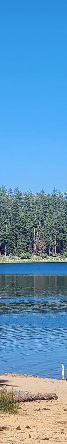 South Twin Lake-德舒特县