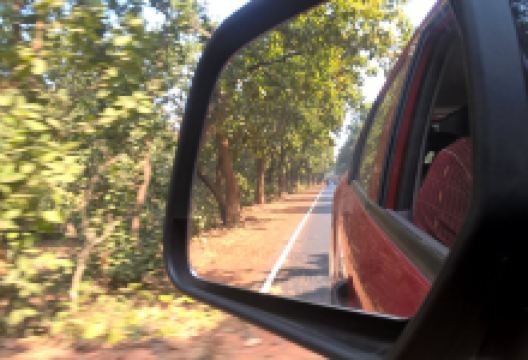 Garh Jungle景点图片