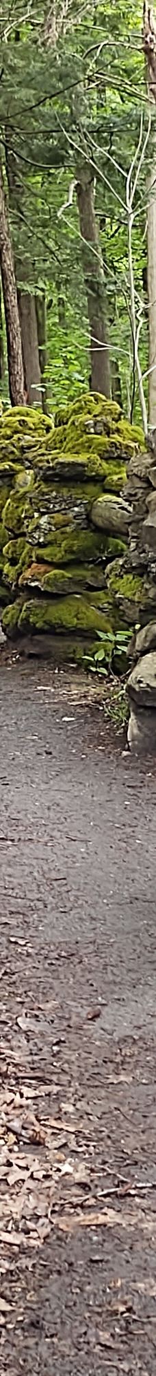 Akron Falls Park-阿克伦