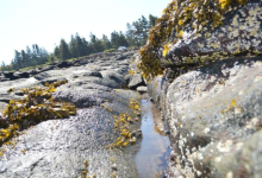 Cottage Cove Provincial Park景点图片