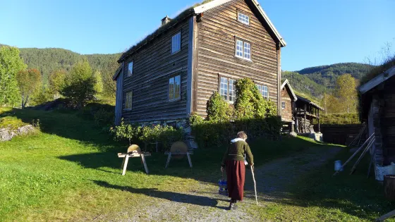 De Heibergske Samlinger, Sogn Folkemuseum