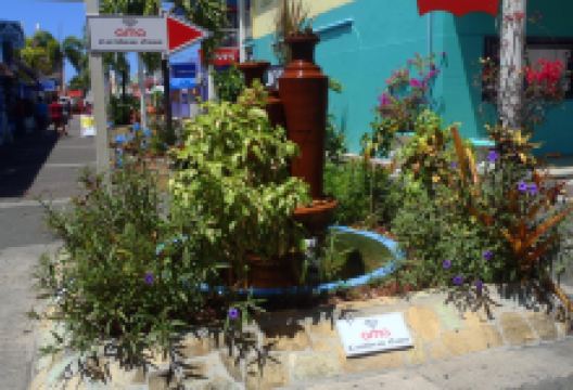 AMA Caribbean Gems购物图片